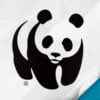 WWF Together App: Download & Bewertung