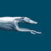 Greyhound Tickets App: Descargar y revisar