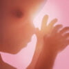 Pregnancy+ App: Download & Review
