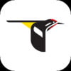 Merlin Bird ID App: Download & Review