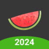 Melon VPN App: Descargar y revisar