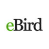 eBird by Cornell Lab App: Descargar y revisar