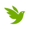 iNaturalist App: Descargar y revisar