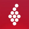 Vivino App: Buy the Right Wine - Download & Review