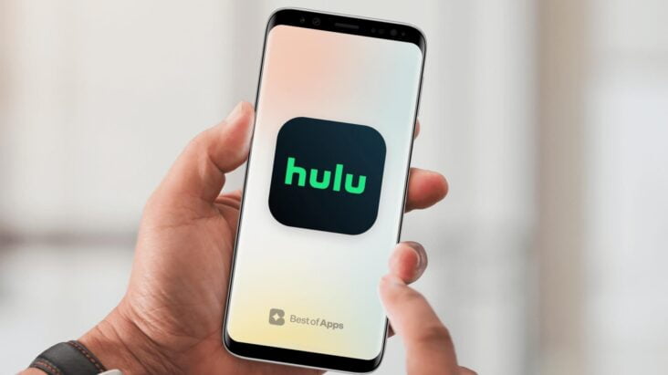 Hulu app main image
